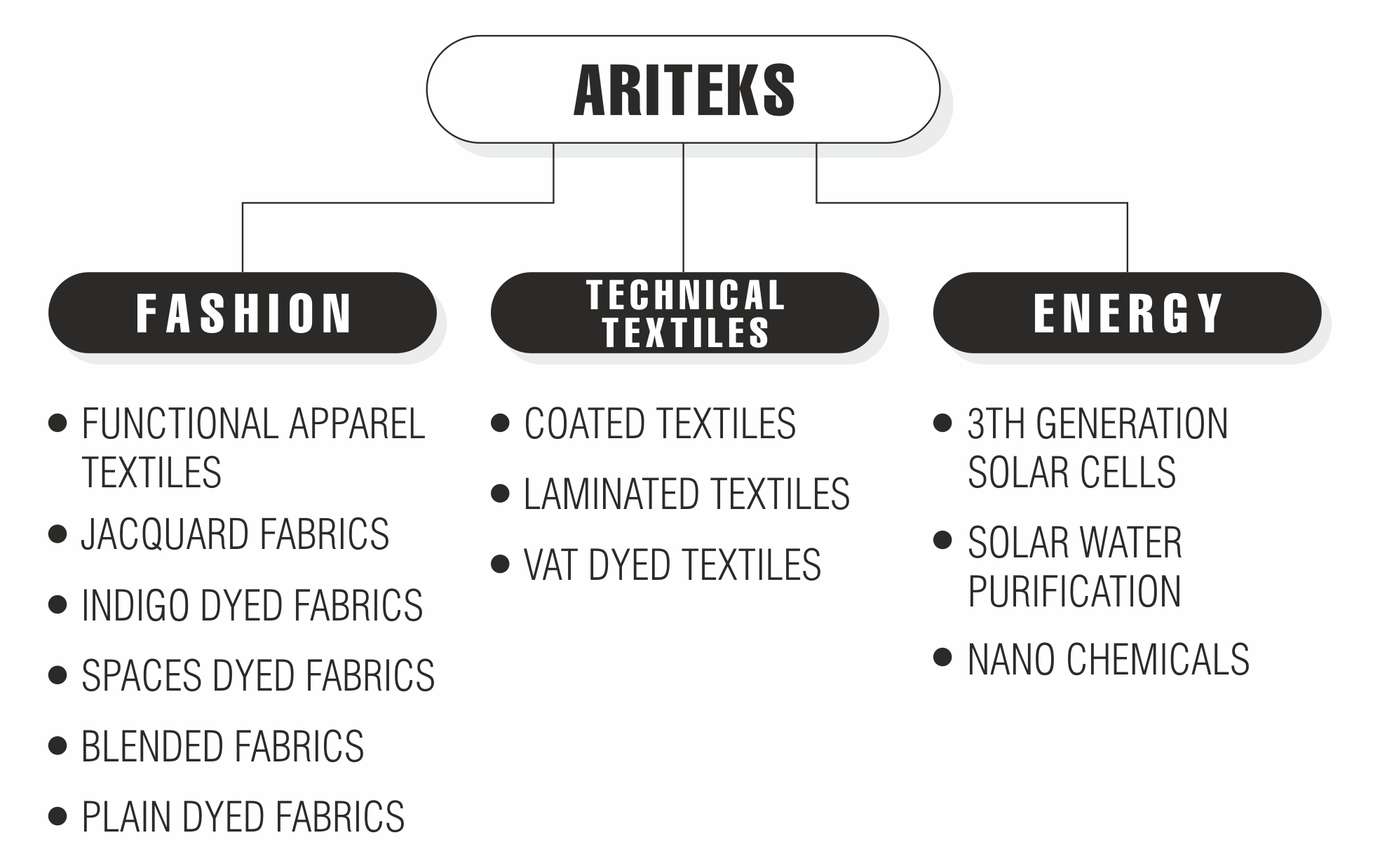 Ariteks Divisions